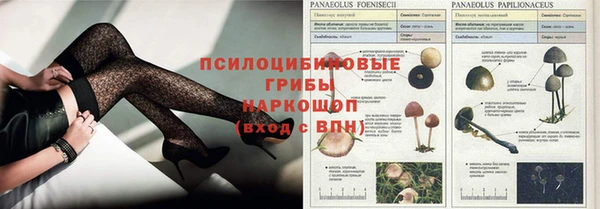 хмурый Балахна